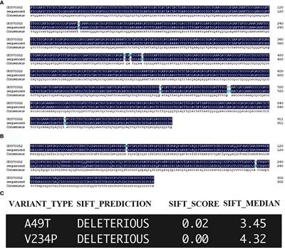 A variant of the venom allergen-like protein, DdVAP2, is required for the migratory endoparasitic plant nematode Ditylenchus destructor parasitism of plants